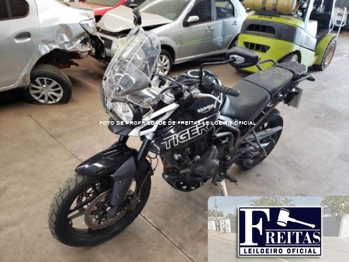 TRIUMPH TIGER 19/19